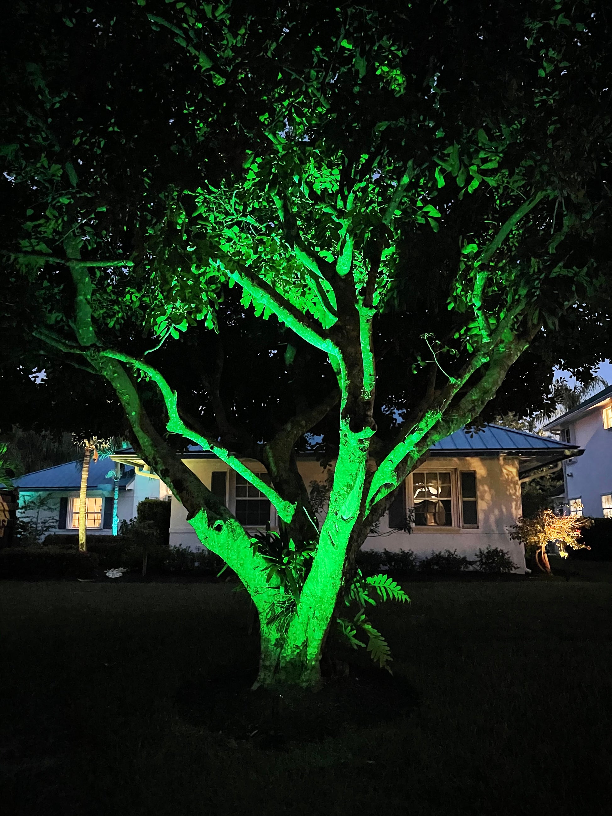 Color changing landscape lights - Brightway Landscape Lighting